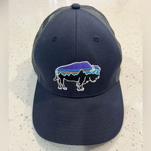 PATAGONIA Fitz Roy Bison LoPro Trucker SnapBack Hat